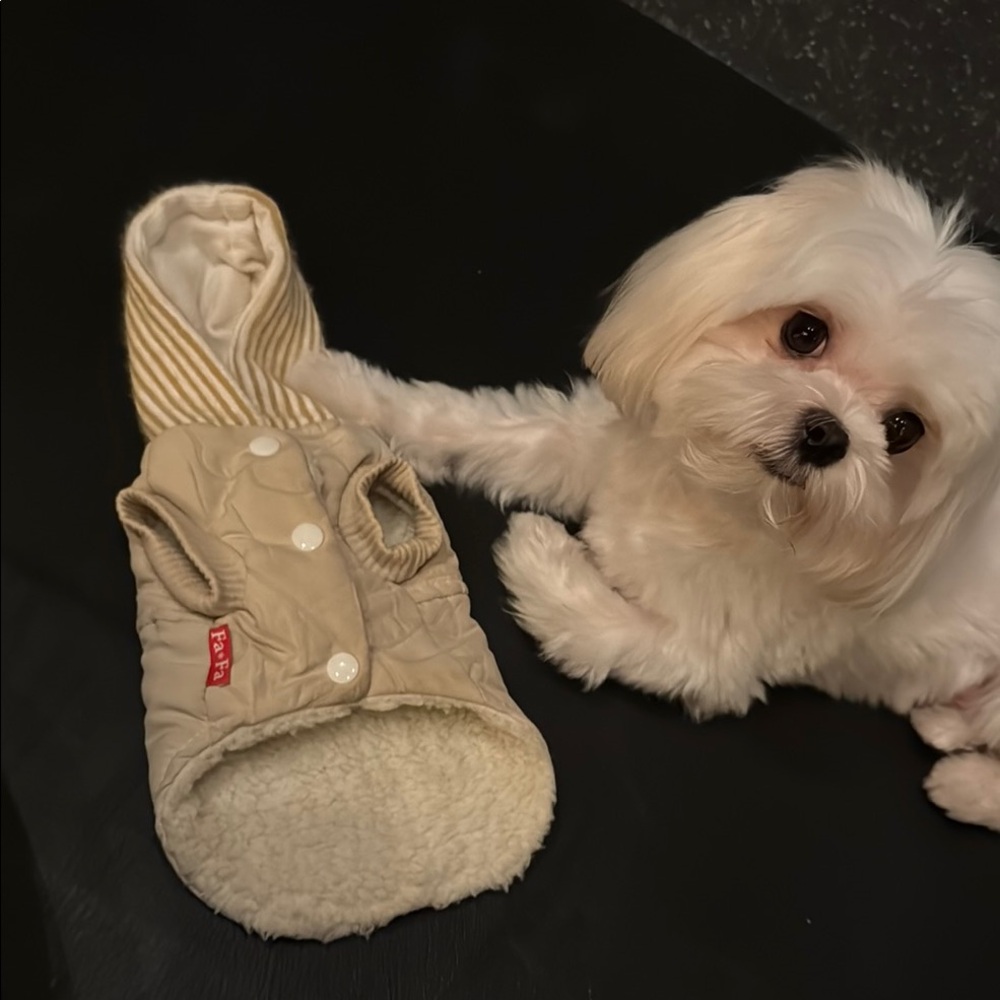 Cozy Beige Dog Hoodie xs